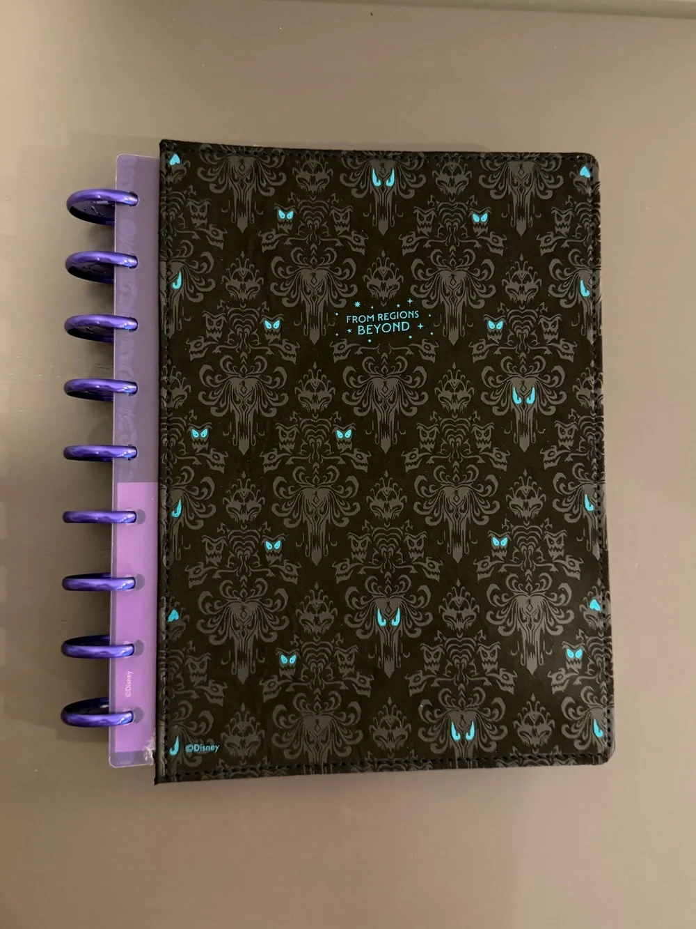 Happy Planner Haunted Mansion Deluxe Undated Classic Dashboard Planner